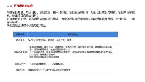 软件公司项目产品开发全流程、交付物详解及网络技术服务案例